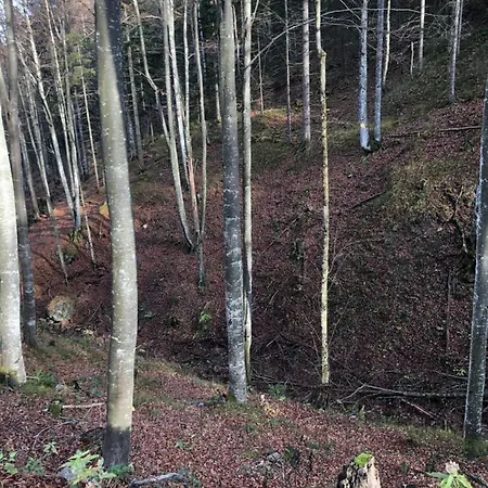 Liebevoll Eingerichtete Mit 5 Betten Apartment