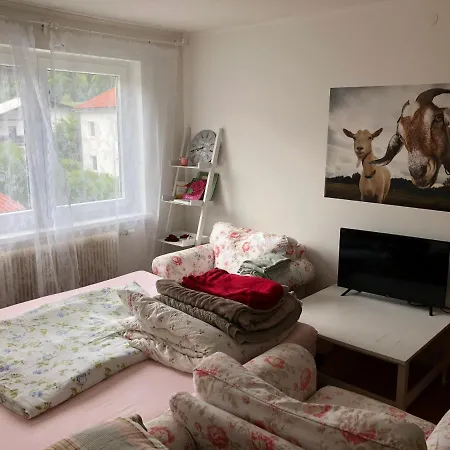 Liebevoll Eingerichtete Mit 5 Betten Apartment Rotenbach