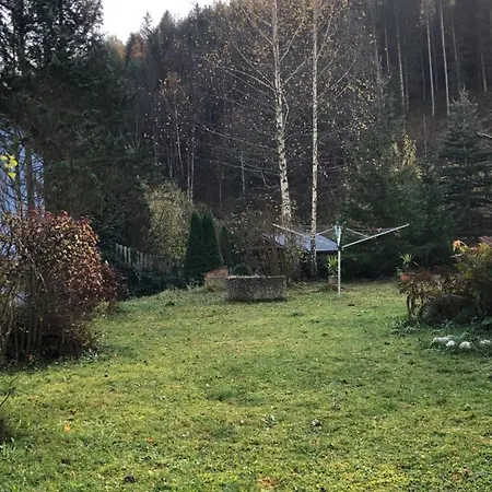 Apartment Liebevoll Eingerichtete Mit 5 Betten *