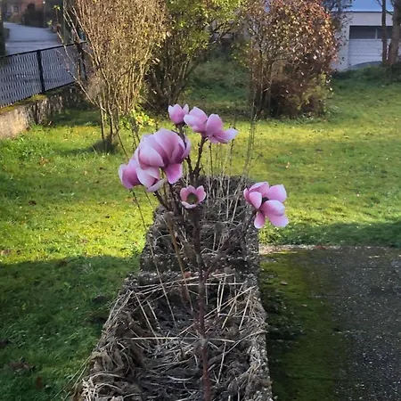 Liebevoll Eingerichtete Mit 5 Betten Apartment *