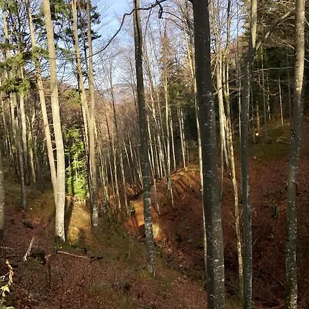Apartment Liebevoll Eingerichtete Mit 5 Betten Rotenbach