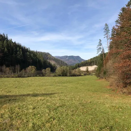 Apartment Liebevoll Eingerichtete Mit 5 Betten